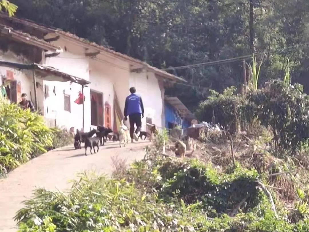 阳春房地一体项目纪实丨无悔青春多砥砺，，，，，最是斗争感人心