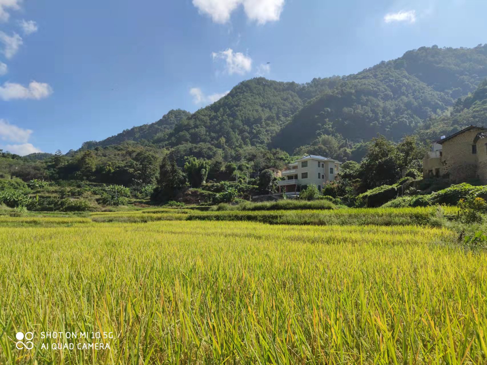 恢复（增补）耕地项目怎么干？？？？？？？万利国际官网有话说
