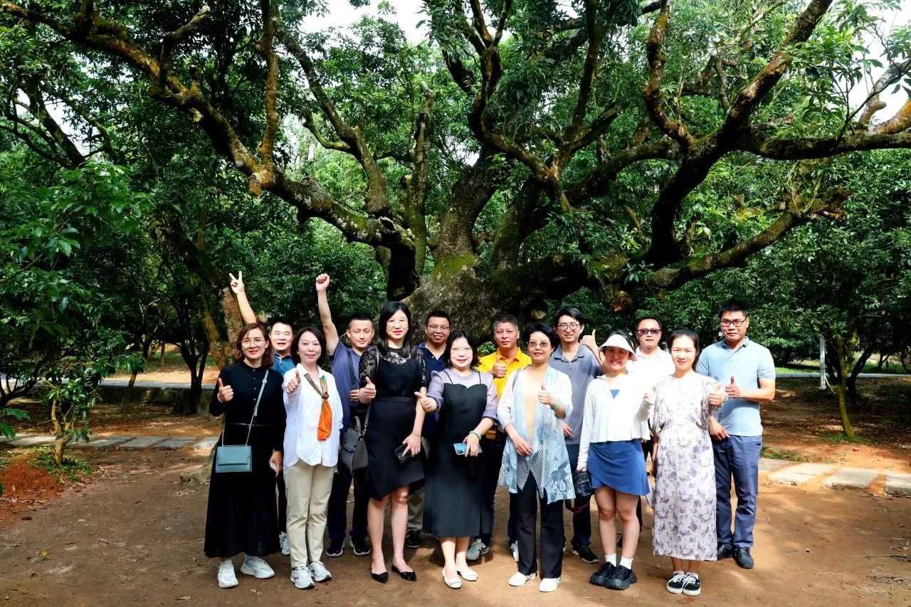 万利国际官网集团作为省领土空间生态修复协会轮值会长带队调研粤西全域土地综合整治事情