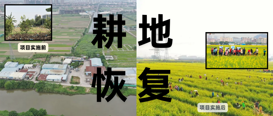 耕地保；；；；び刖蒙す踩凇甘泻窠终蛩谏缜读继锵钅扛鼗指从氤窍缛诤系牧⒁焓导