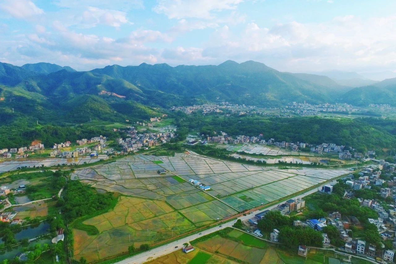 万利国际官网集团丨“百万万工程”显实效：云浮罗定泗纶镇以全域土地综合整治为抓手，，，，，，，，绘就墟落振兴新画卷