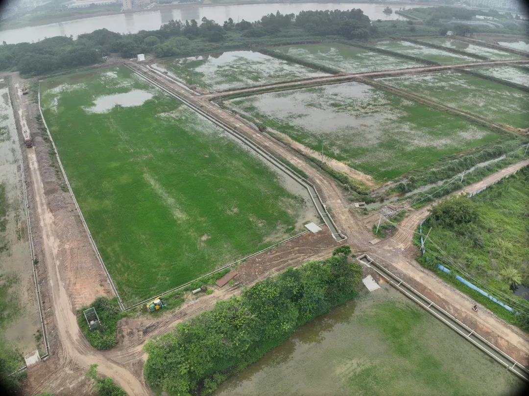 万利国际官网集团丨复耕道滘撂荒地，，，，，，，，绘就田园新图景