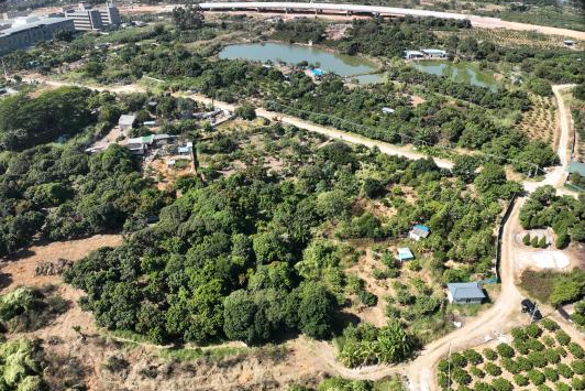 政策解读+实战案例！广东永农纠错新政落地，，，，，，，万利国际官网助镇街破局耕地保唬唬唬；；