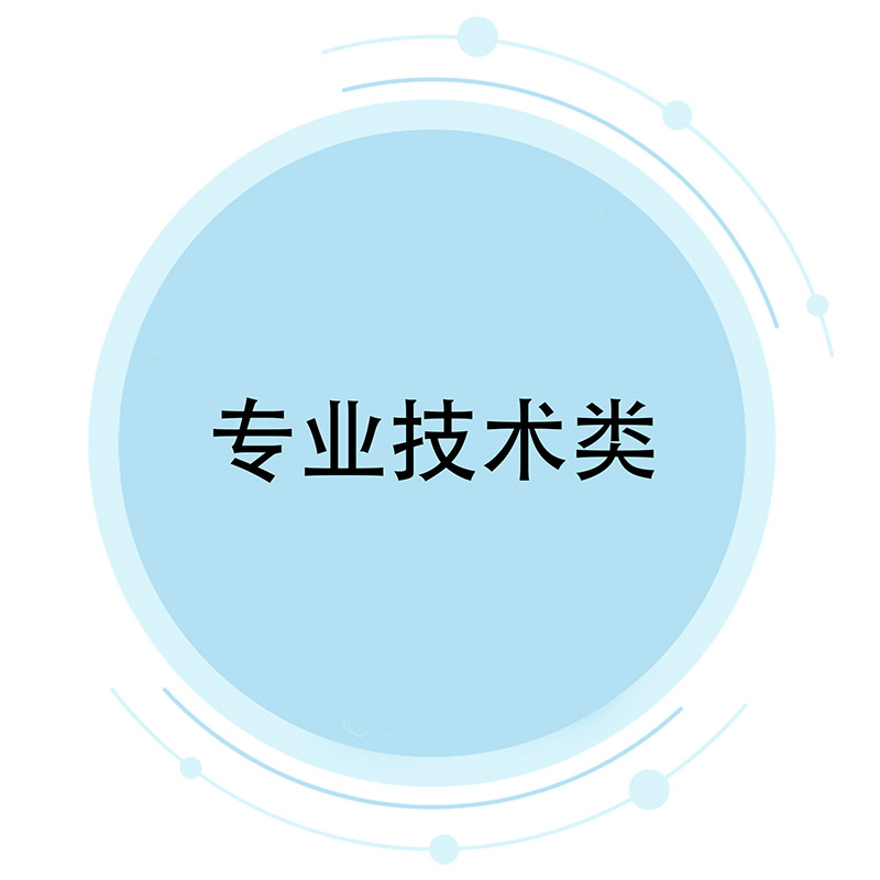 专业手艺类
